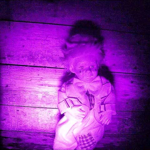 Southern Ghost Society: - Ghost Hunt Banner